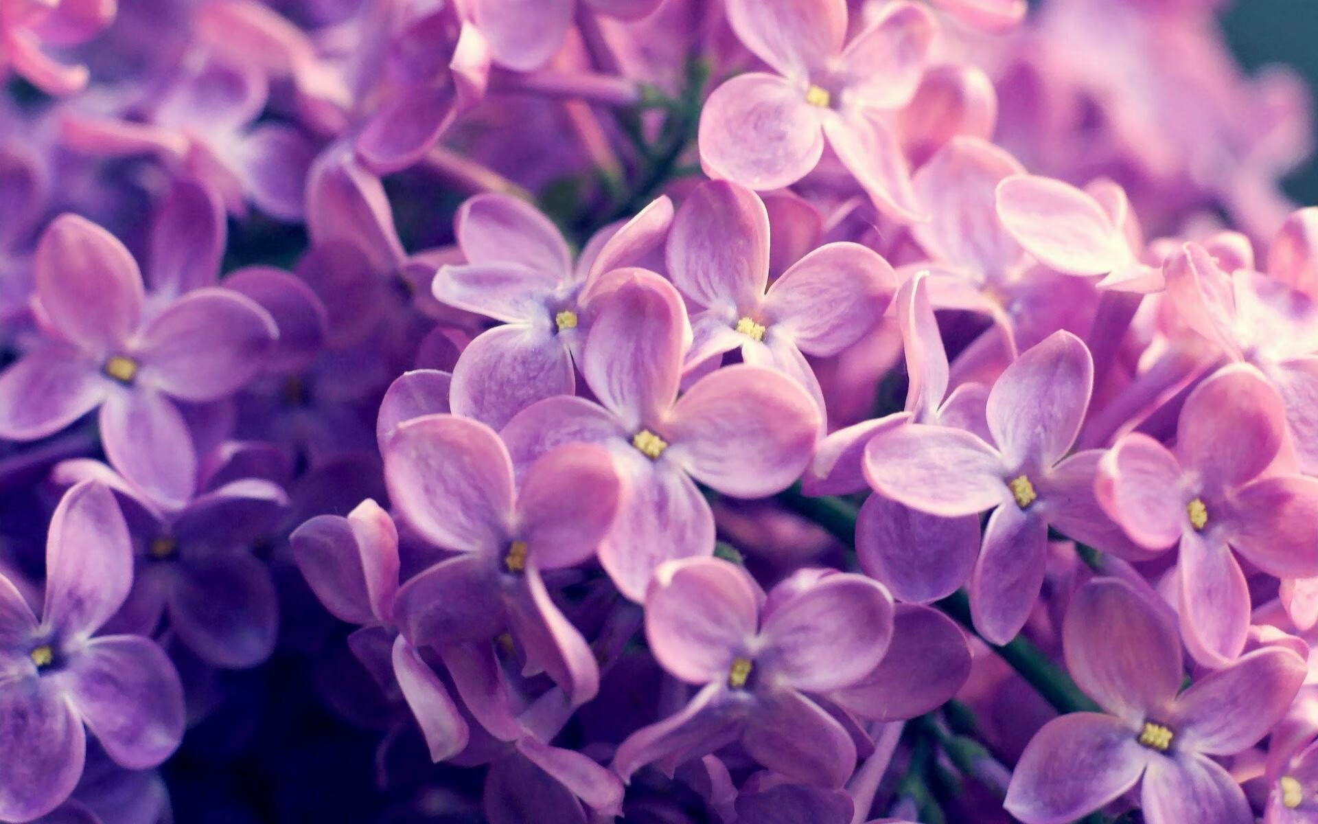 NBA球员身体素质测试报告，nba球员体能