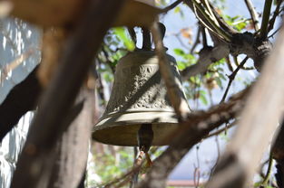 APP下载 LY Sports-NBA球员转会市场动态，nba转会名单