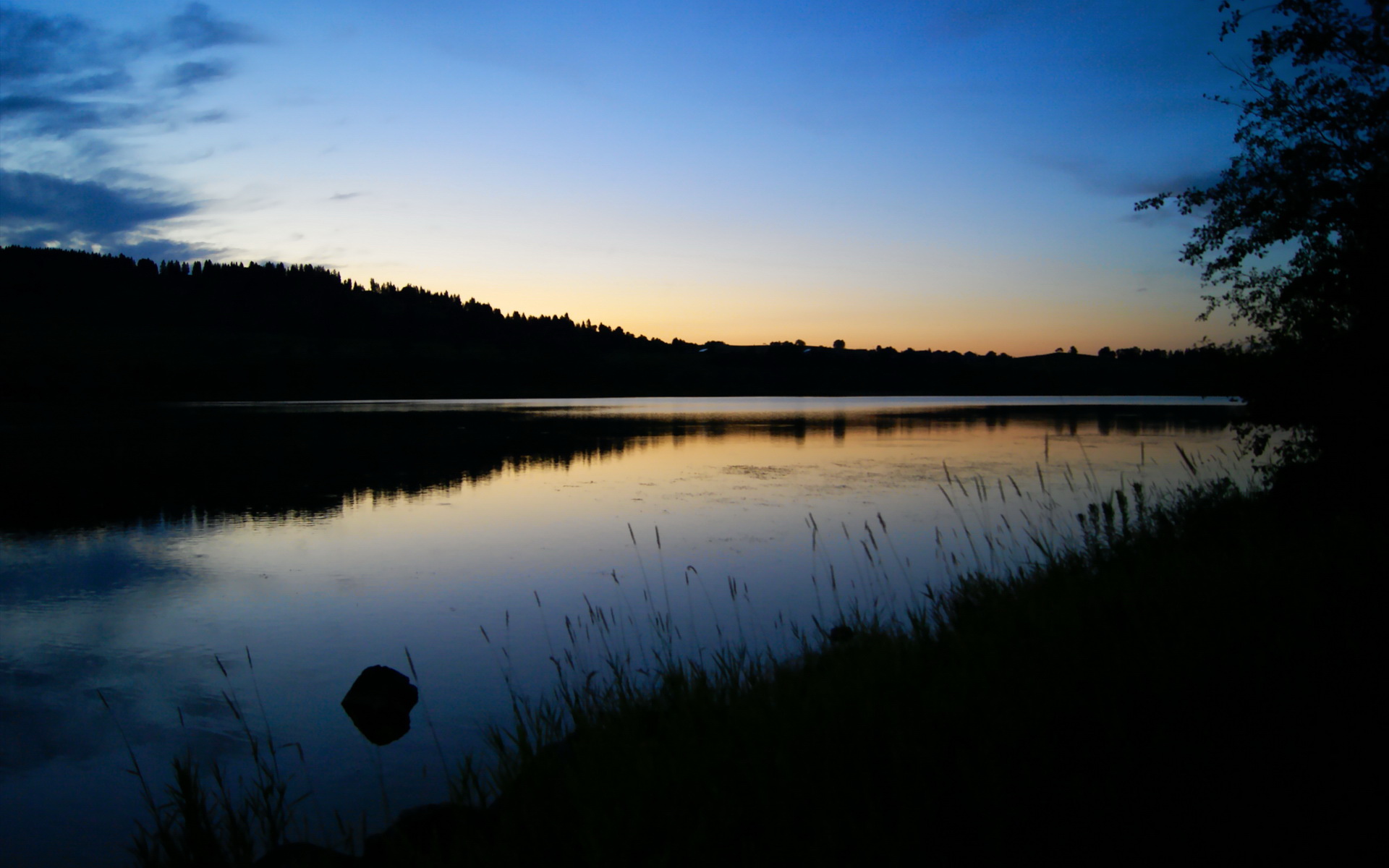NBA球队全场压迫战术效果研究与实施条件,nba压球犯规