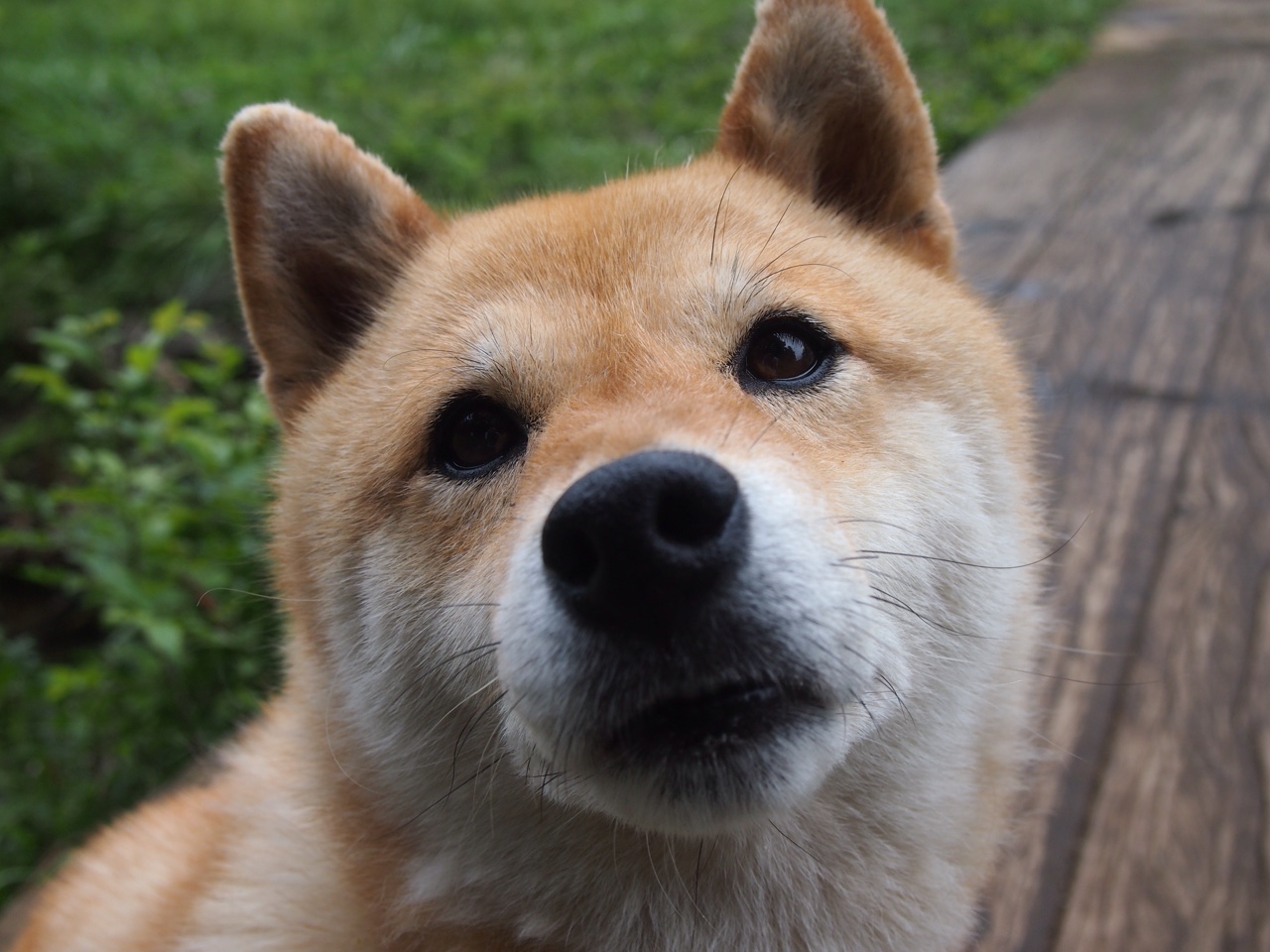 NBA球队关键球处理模式与教练风格相关性研究,nba关键球前十