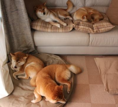 NBA球队后场组合分析,nba历史后场组合