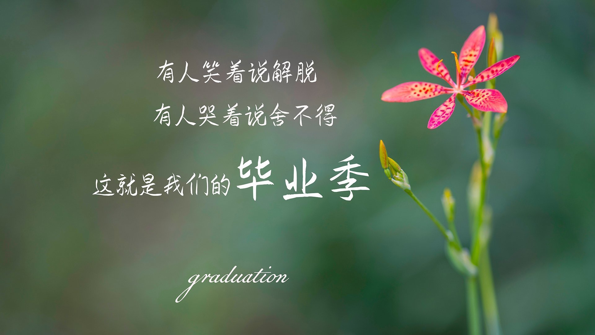 体育公益项目影响力扩大,公益体育活动有哪些