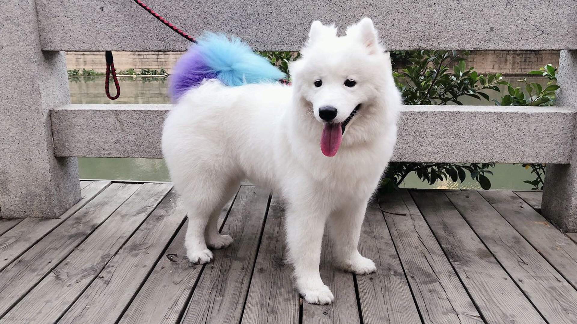 女足亚洲杯中国队八连胜夺冠,中国女足亚洲杯最好的成绩