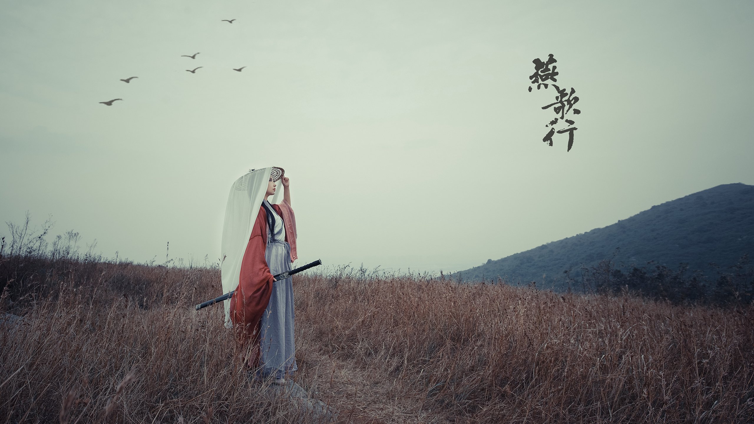 法甲球队通过数据可视化辅助战术布置实证研究,法甲战况