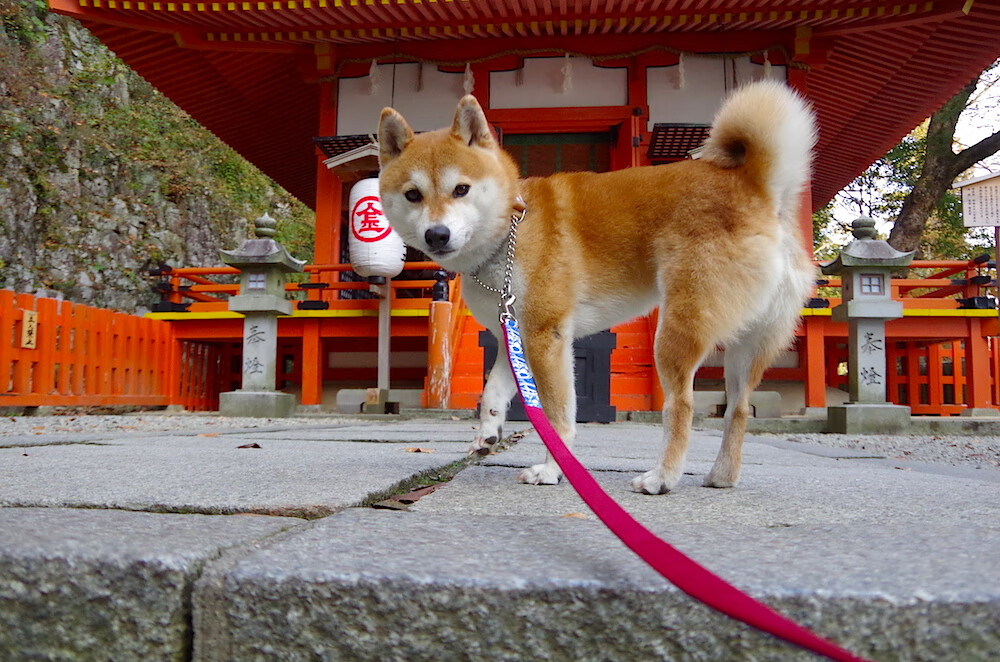 体育新闻中心协同高校推进体育新闻实训项目,体育新闻通讯
