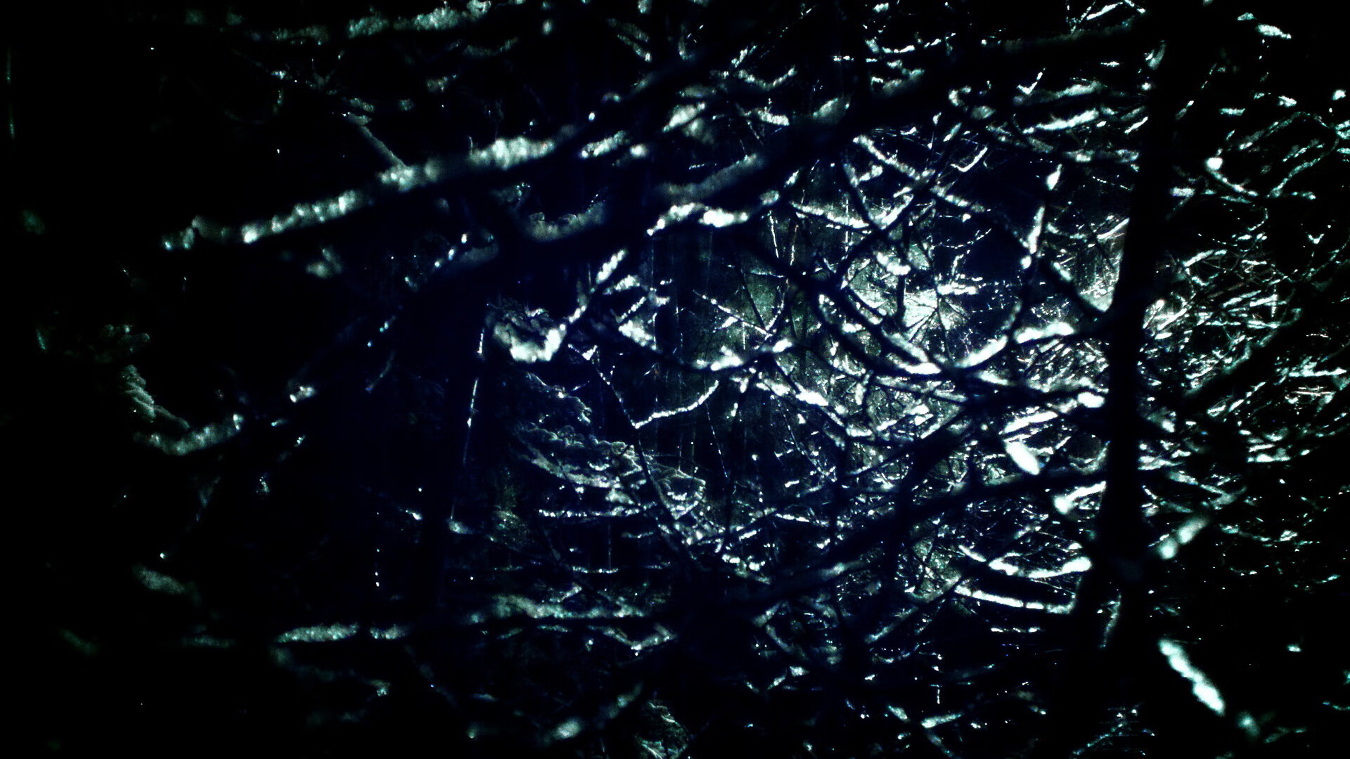 足球教练专业学历体系尚未建立,想当足球教练员大学选什么专业