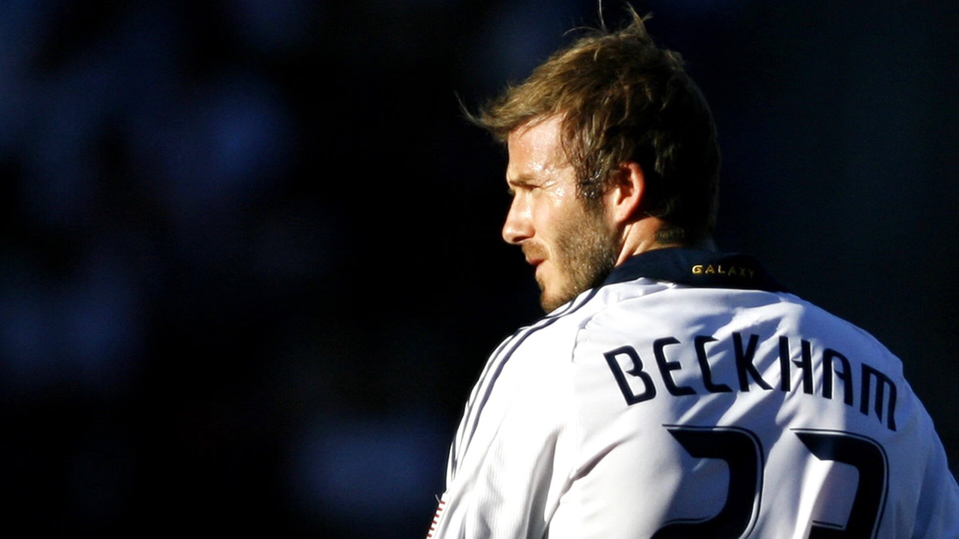 “南非羚羊队的防线之王:埃尔斯·霍斯特的崛起”