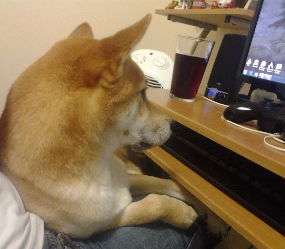 体育中心夜跑活动广受市民欢迎,体育场夜跑