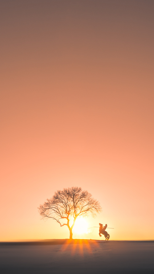 掘金主场气氛热烈球队士气高涨,掘金球队名单