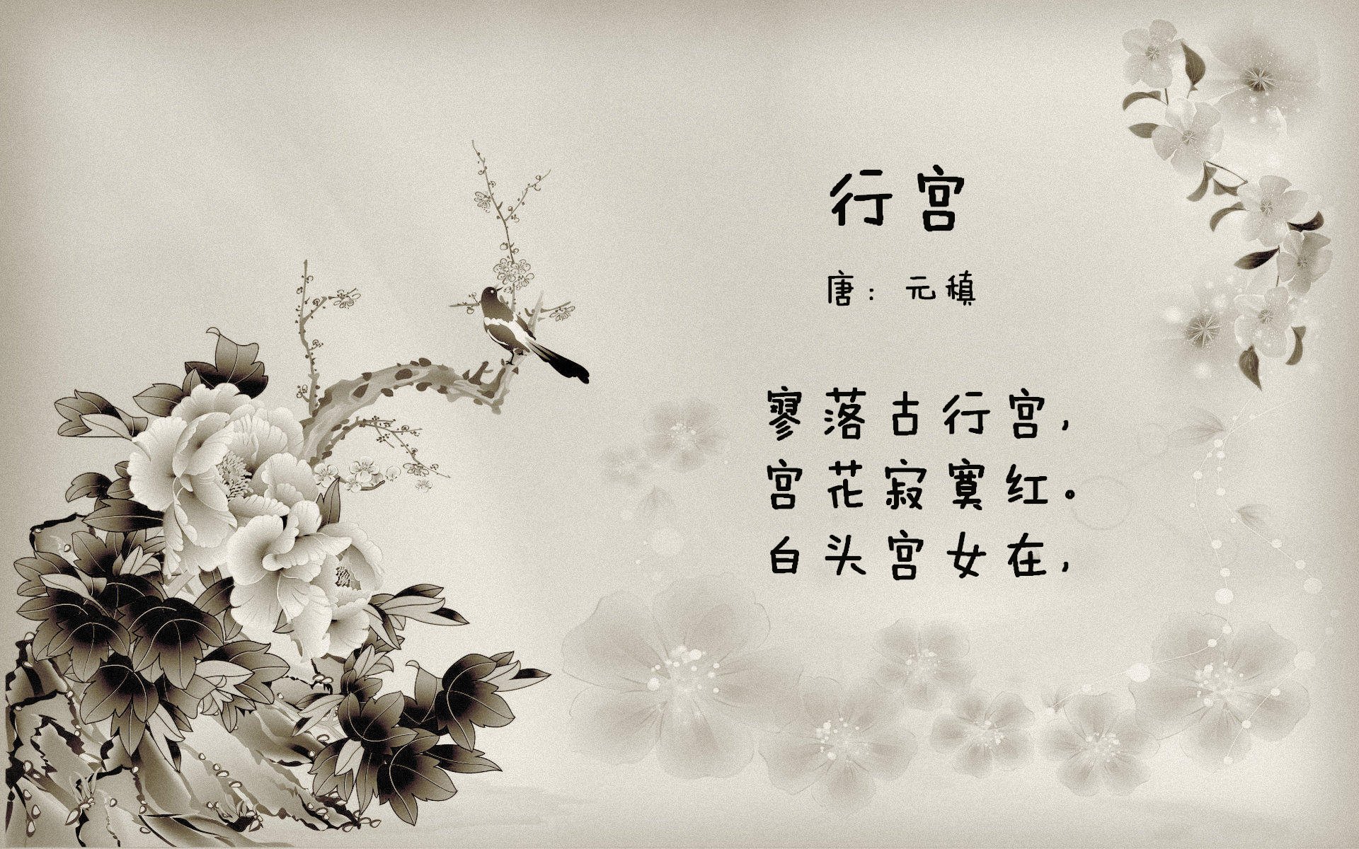 Leyu Sports (乐鱼体育)-莫莉·奥卡拉汉展现强大爆发力，莫利卡拉汉