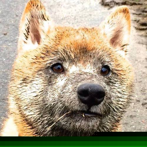 NBA球员合同结构全面解析,nba球员合同结构全面解析图