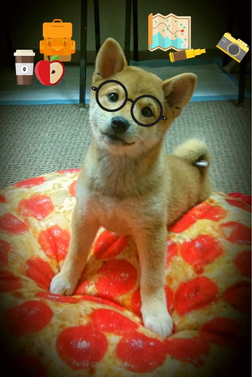 乐鱼体育平台app下载-中超联赛观众体验服务创新研究，中超 观众