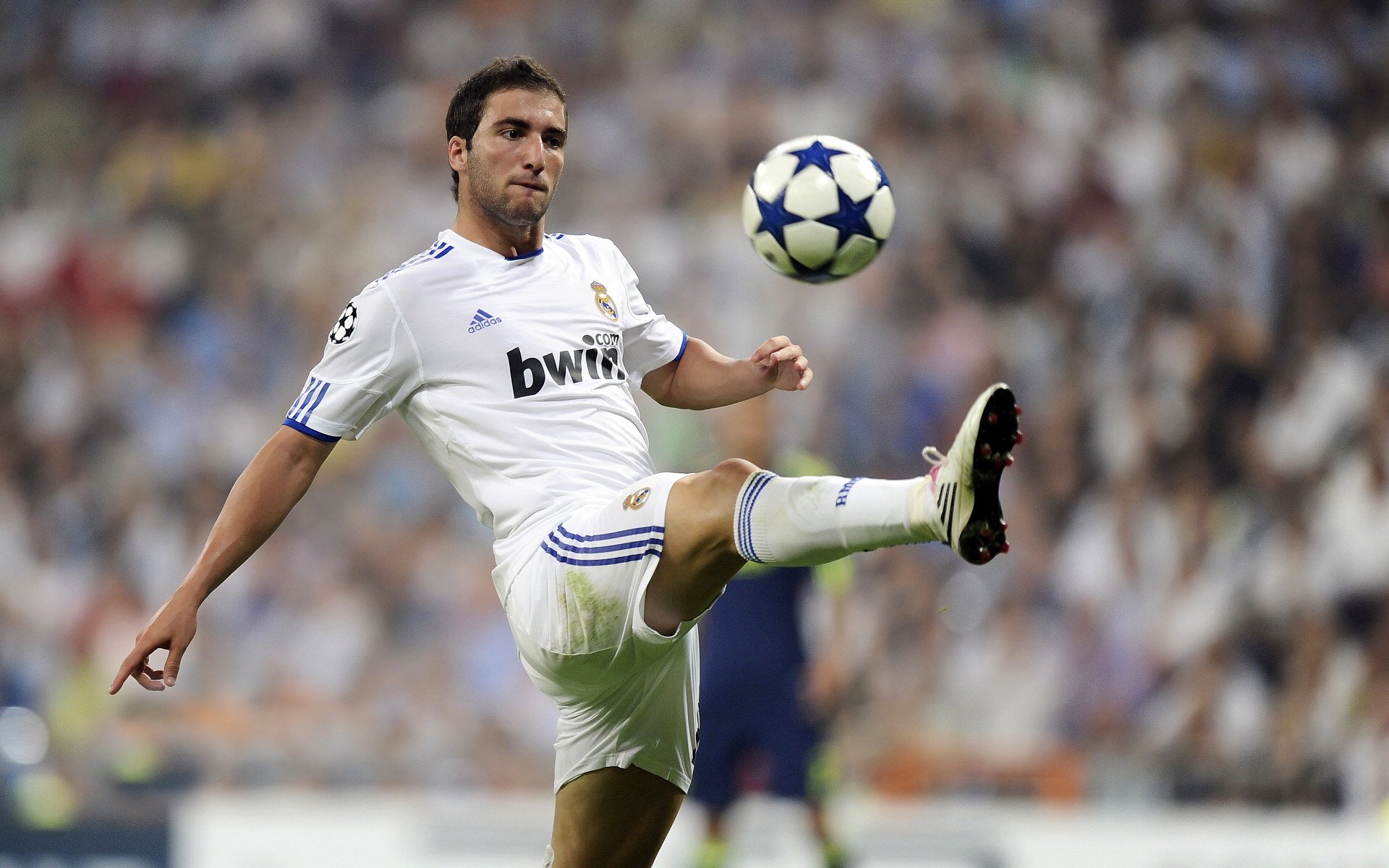 世界杯八强：阿根廷与日本再战 “蓝武士”能否复仇成悬念之一